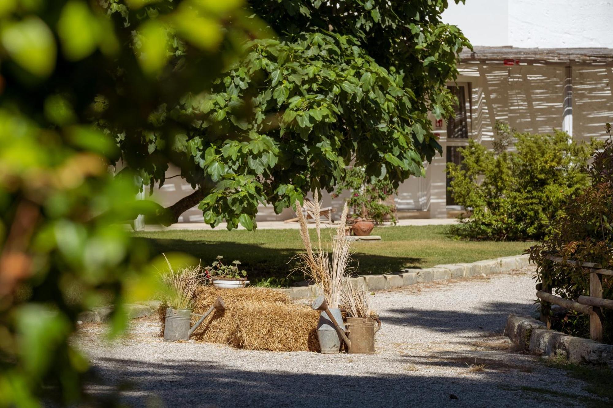 Masseria Rauccio Torre dell'Orso Εξωτερικό φωτογραφία